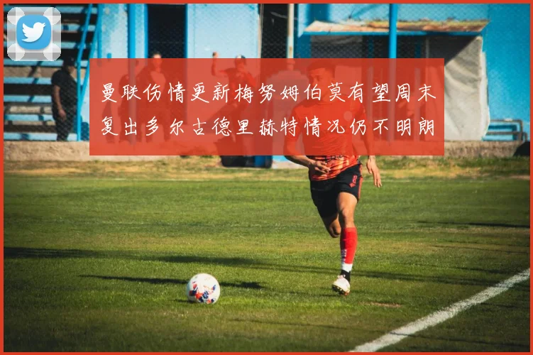 曼联伤情更新梅努姆伯莫有望周末复出多尔古德里赫特情况仍不明朗