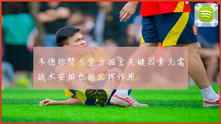 韦德称赞戈登为掘金关键因素无需战术安排也能发挥作用
